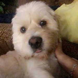 Meet your Posher, Edgar